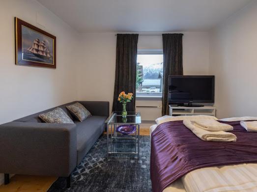 Appartamento Aurora Dream House With Free Parking Tromsø